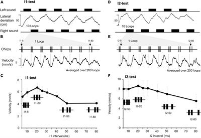 Response properties of spiking and non-spiking brain neurons mirror pulse interval selectivity